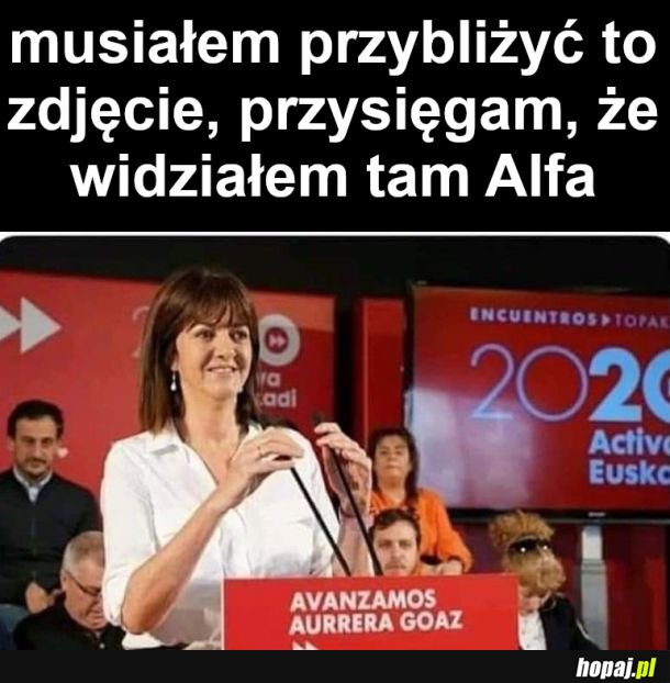 Alf to kosmita z Melmac. Popatrz 2 razy