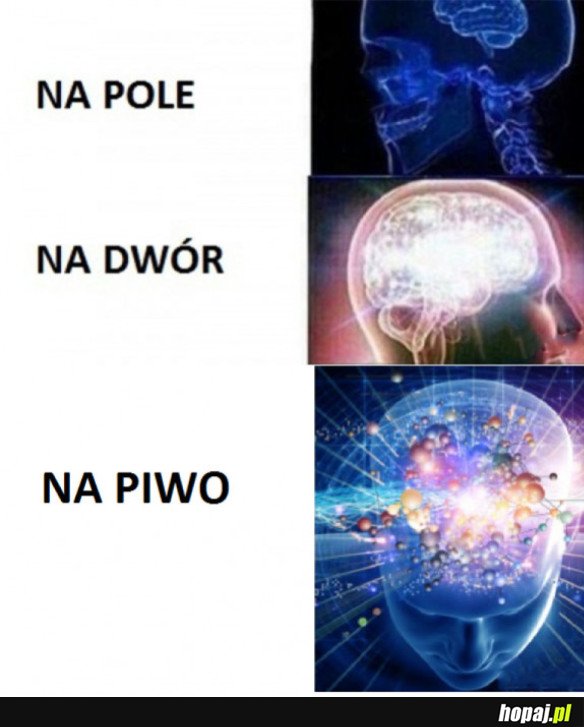 MEMY WYŻSZEJ ŚWIADOMOŚCI