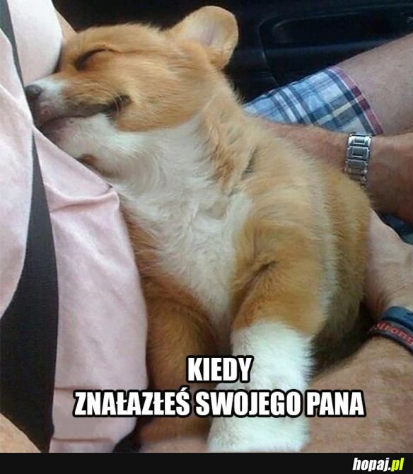Najlepsze uczucie