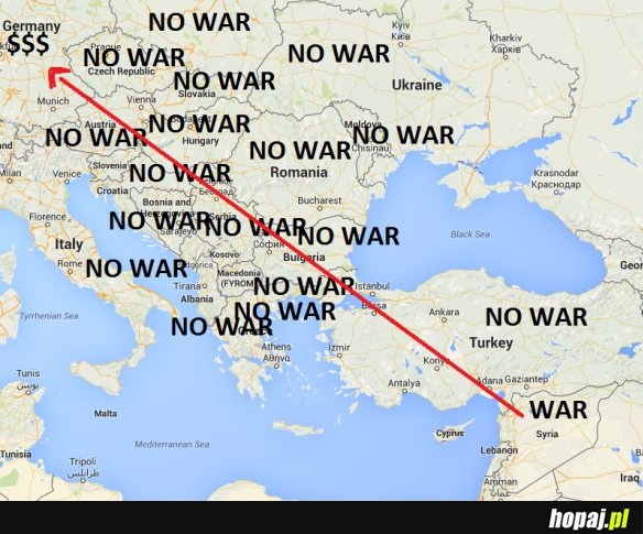 Logika imigrantów