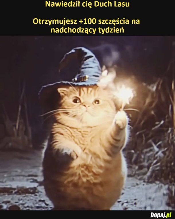 Duch lasu