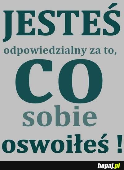 Jesteś odpowiedzialny za to co sobie oswoiłeś!