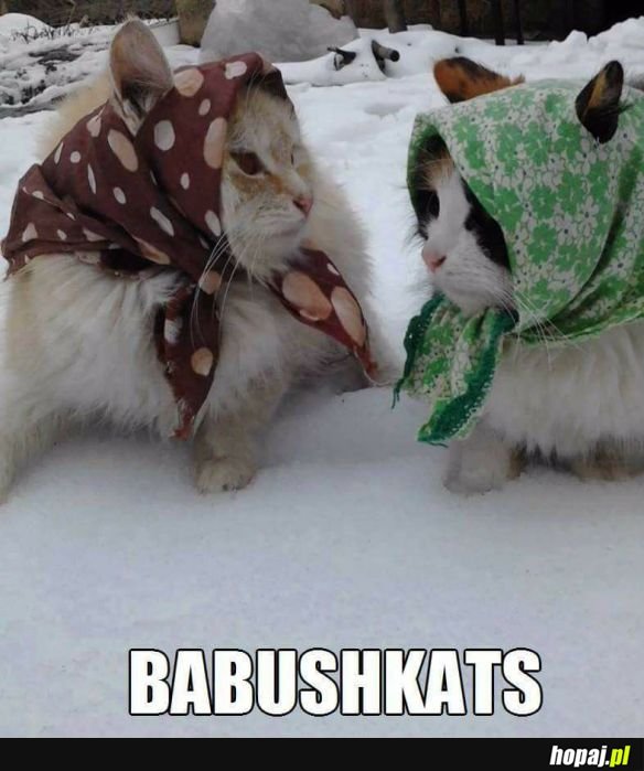 Babushka