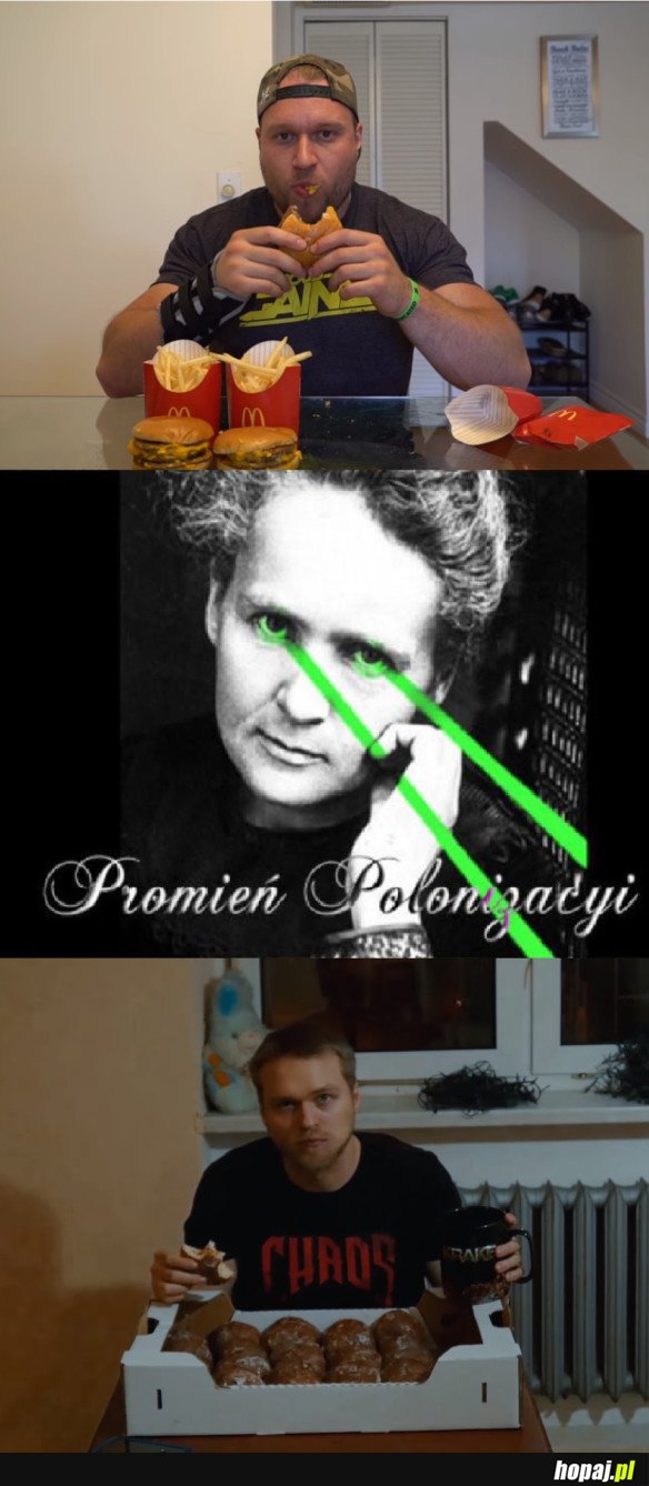 PROMIEŃ POLONIZACYI