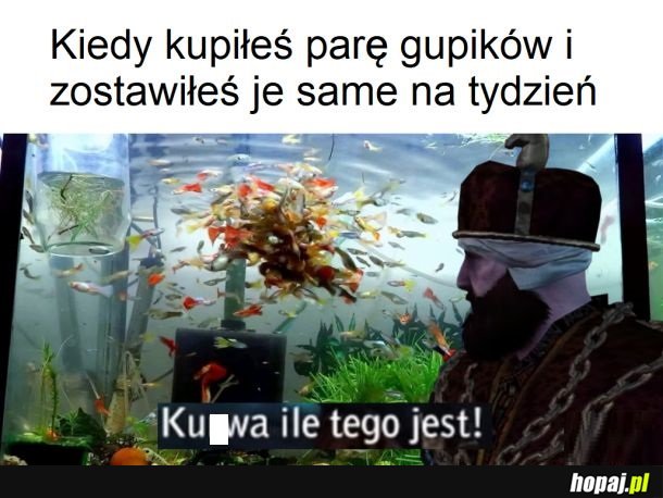 Początki akwarystyki