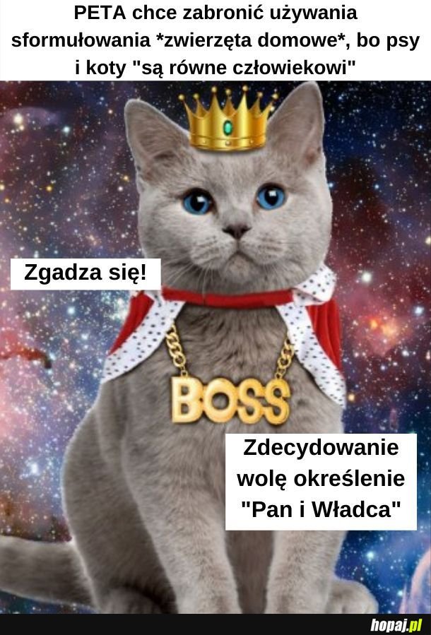 Moj kot twierdzi, że się z tym zgadza. Pies powiedział, że zwisa mu to do czasu, kiedy napełniam mu miskę.