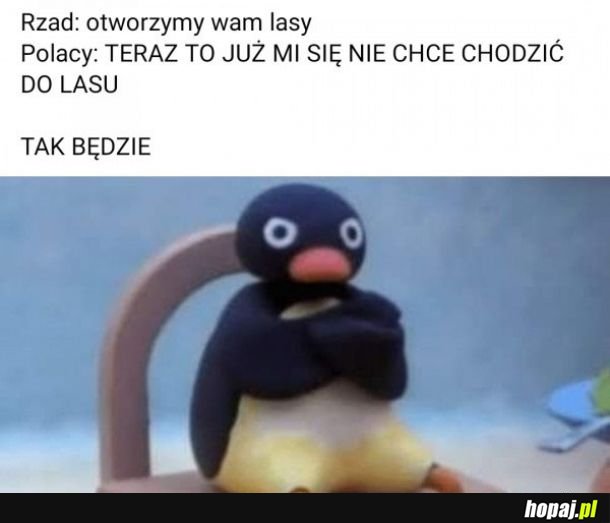Chodzenie do lasu