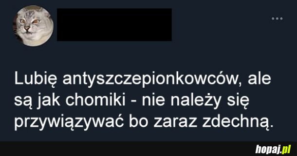 Antyszczepionkowcy