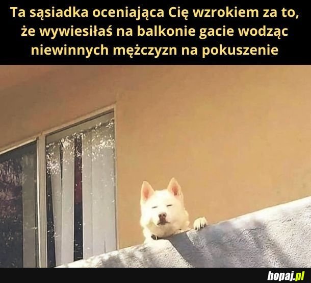 Sąsiadka