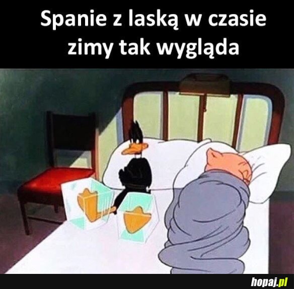 SPANIE Z LASKĄ