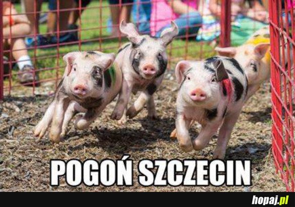 POGOŃ SZCZECIN