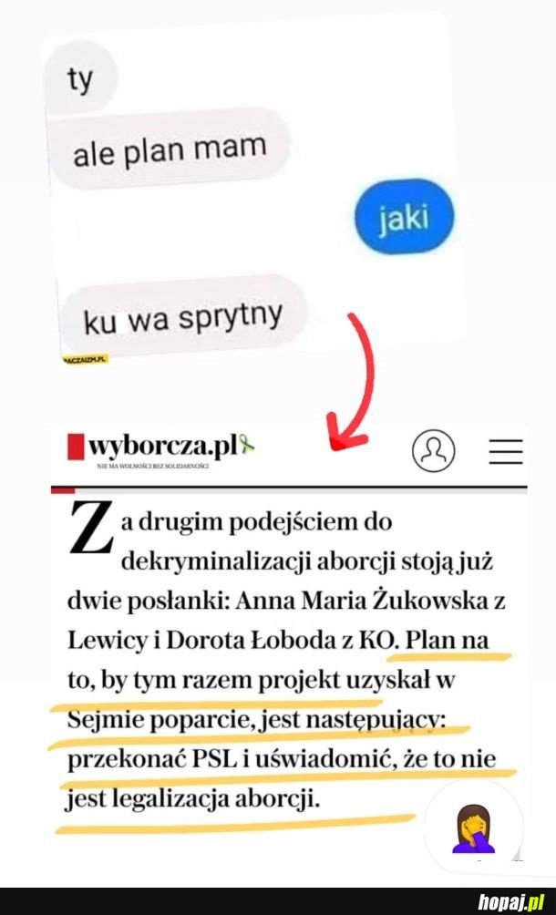 Polska polityka XD