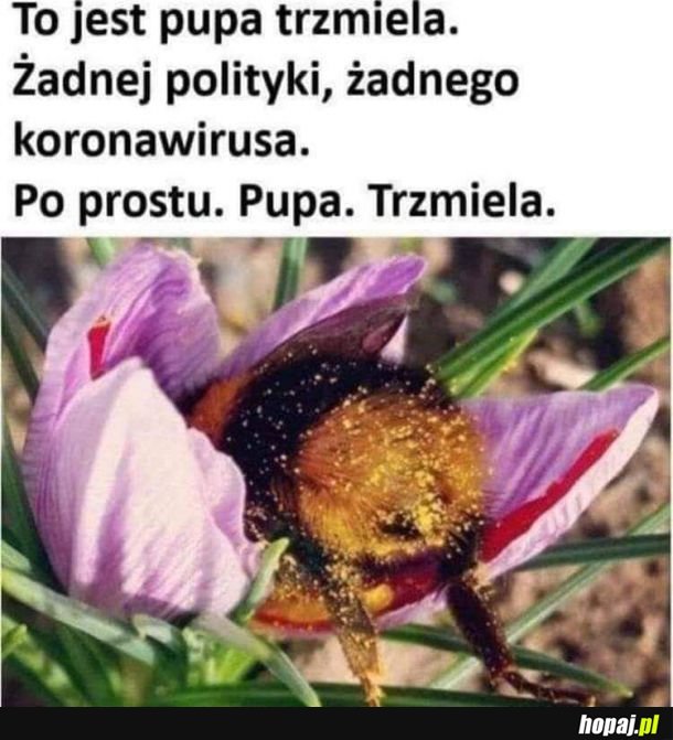 Po prostu