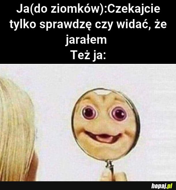 Chyba spoko 