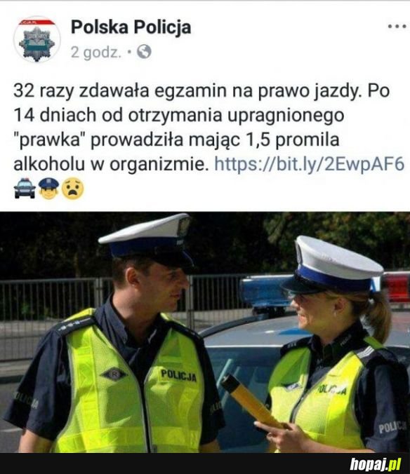 Polska Policja