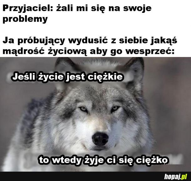 Sentencja