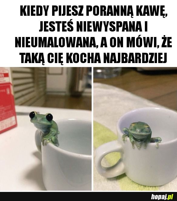 Najlepiej