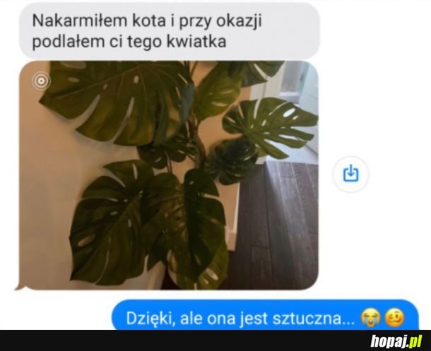 Liczą się dobre chęci