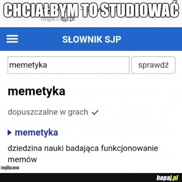 MEMETYKA