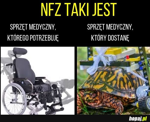 NFZ taki jest