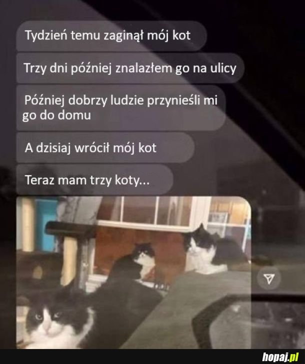 Był jeden, są trzy