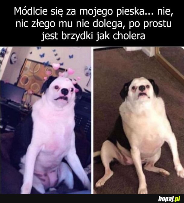 I tak go kocham