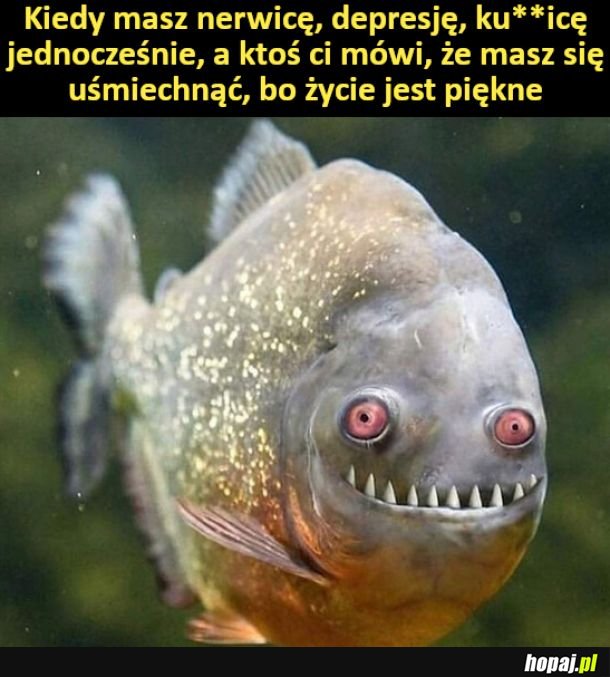 Taa, jest pięknie