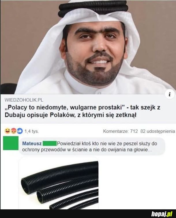 Przynajmniej polacy nie srają do zlewu i kobiecych ust