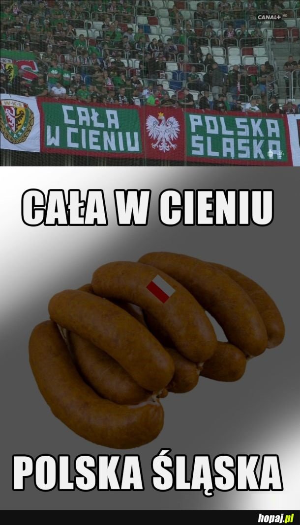 Polska Śląska w cieniu cała