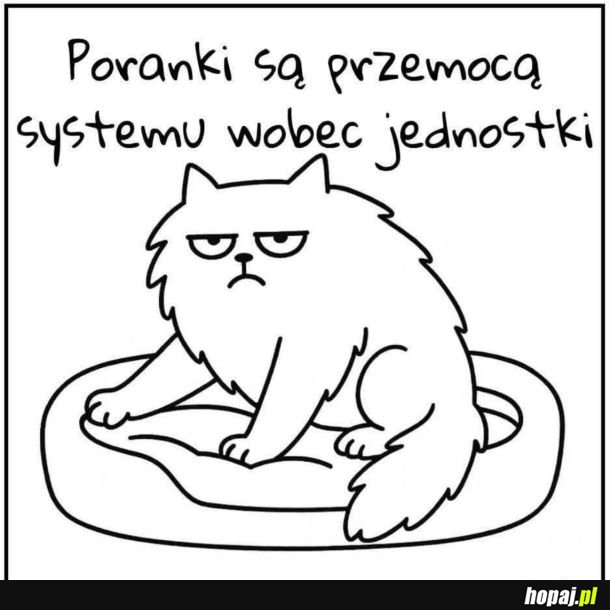 Coś w tym jest