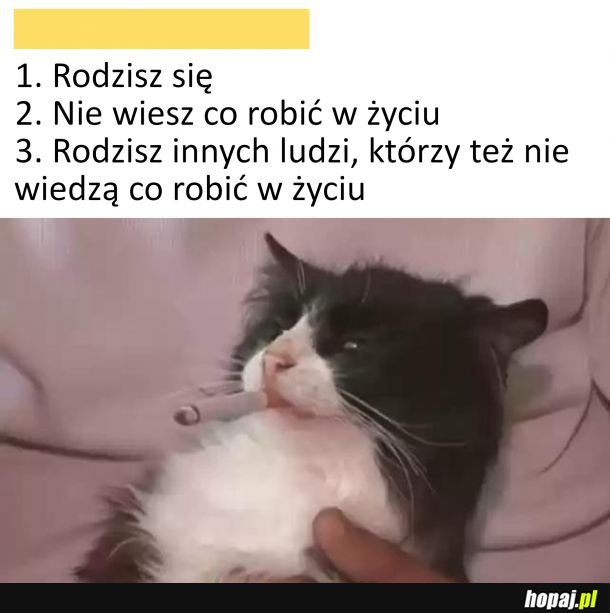 Czasem tak bywa