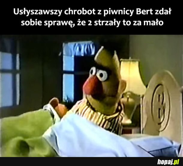 Bert