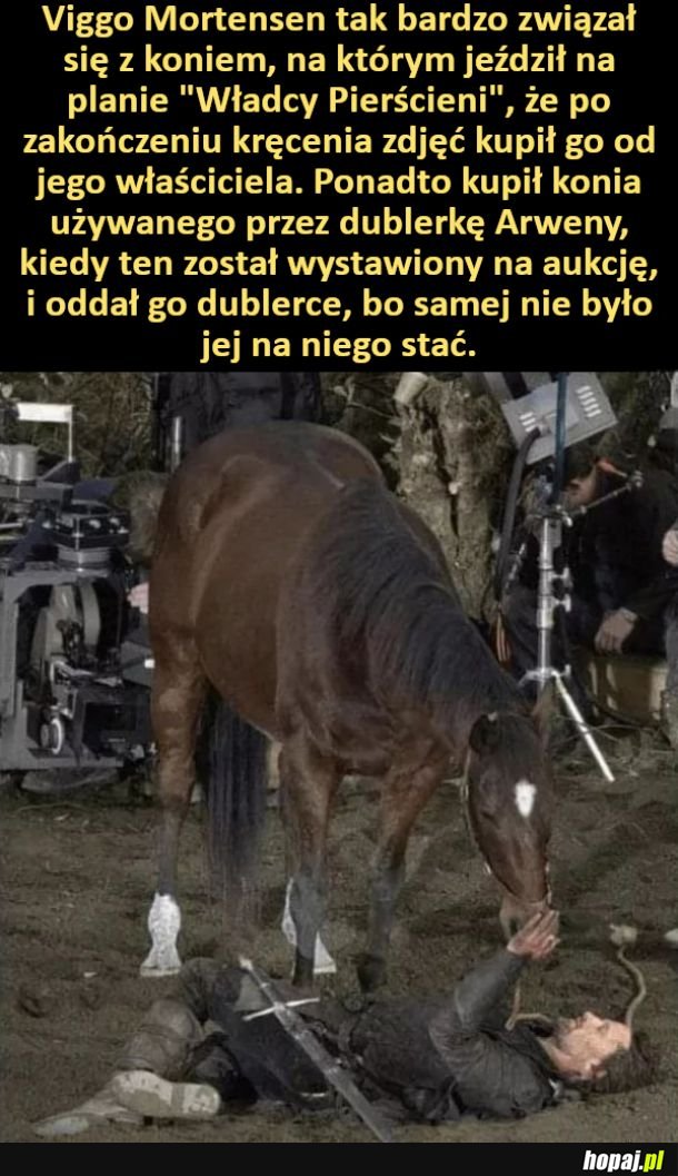 Viggo Mortensen kupił konia, na którym jeździł na planie &quot;Władcy Pierścieni&quot;