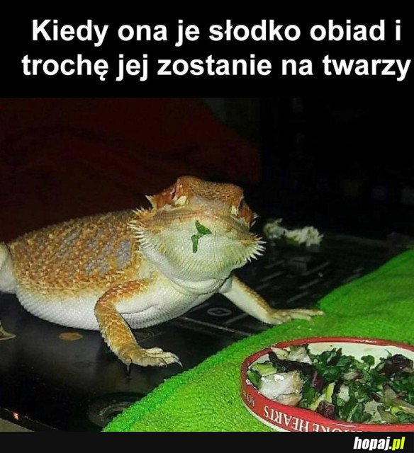 SŁODKA CHWILA