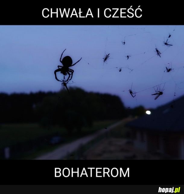 Chwała i cześć