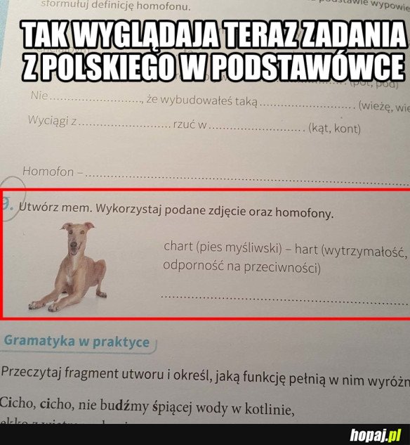 MIAŁBYM SAME PIĄTKI