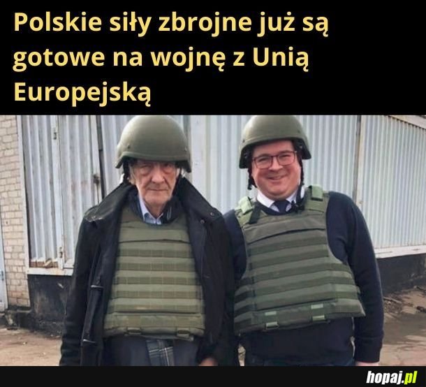 Polskie siły zbrojne