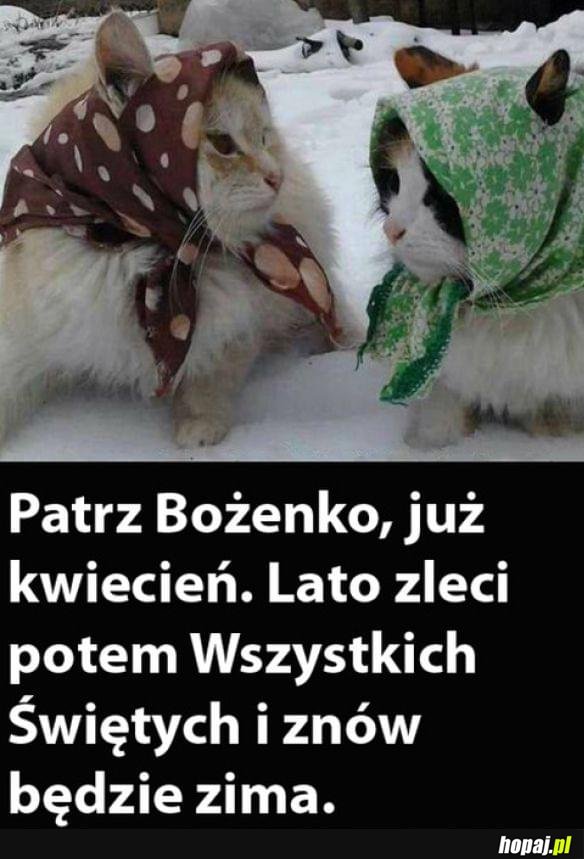 Brutalna prawda