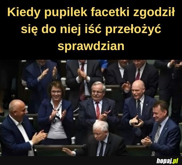 Pupilek. 