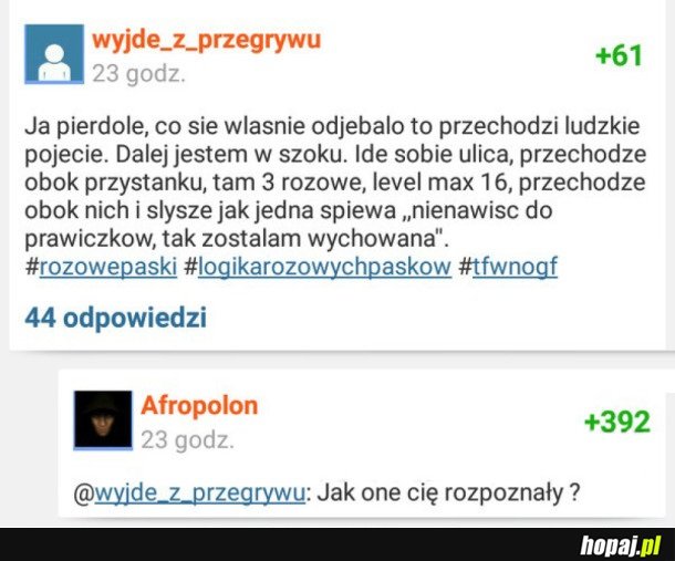 NIENAWIŚĆ DO PRAWICZKÓW