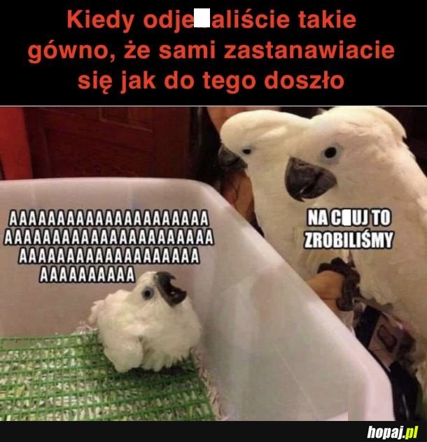 Jak do tego doszło? Nie wiem...