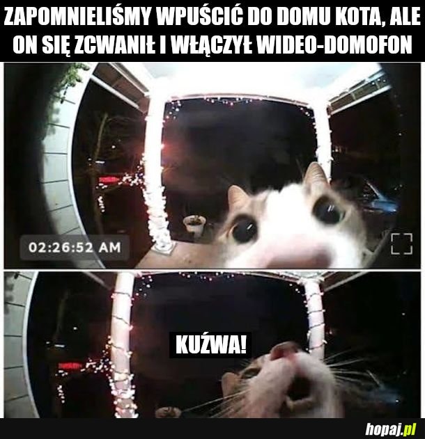 Wpuście mnie !!