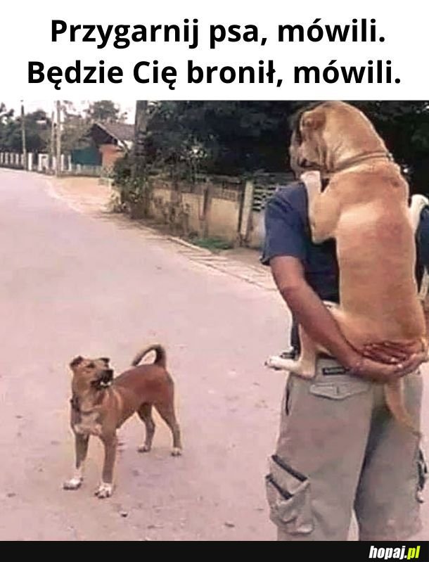 Jakbym widział mojego!