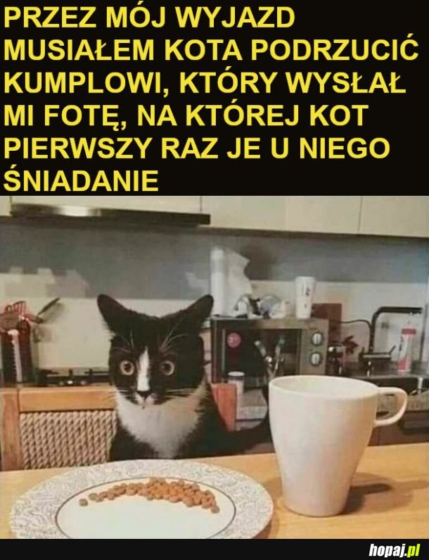 Ale ma minę xD