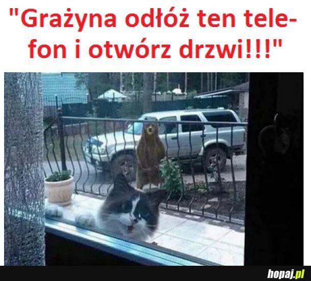 Hjuston, mamy problem.