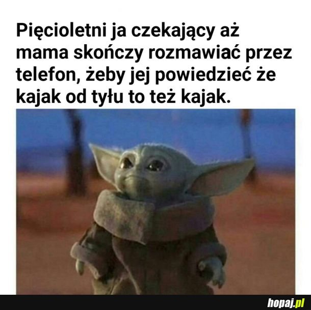 Wiedza absolutna
