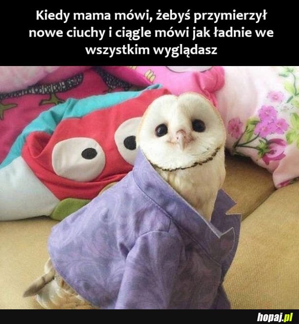 Nowe ciuchy 