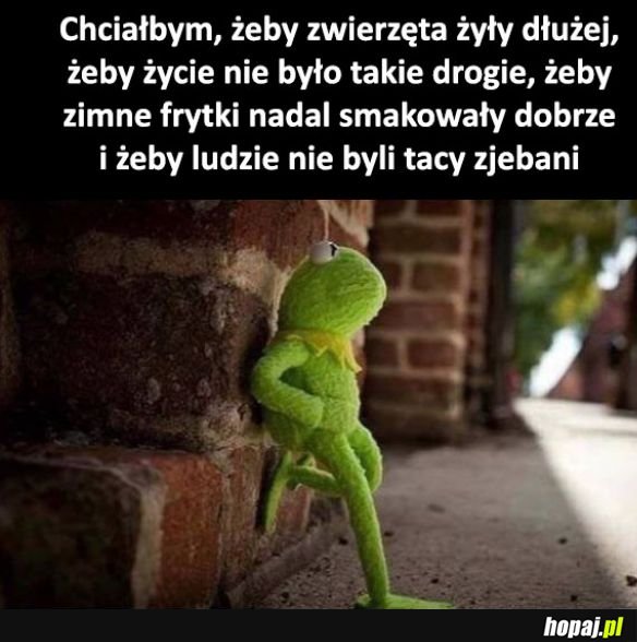 Chciałbym