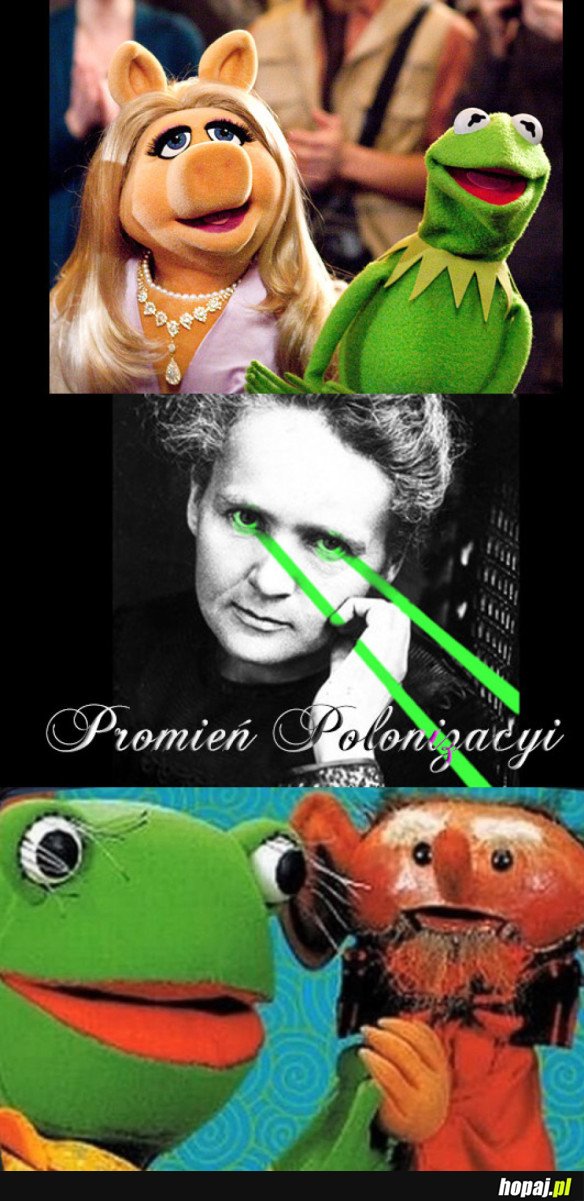 PROMIEŃ POLONIZACYI 