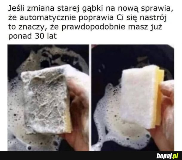 Stara gąbka to ohyda